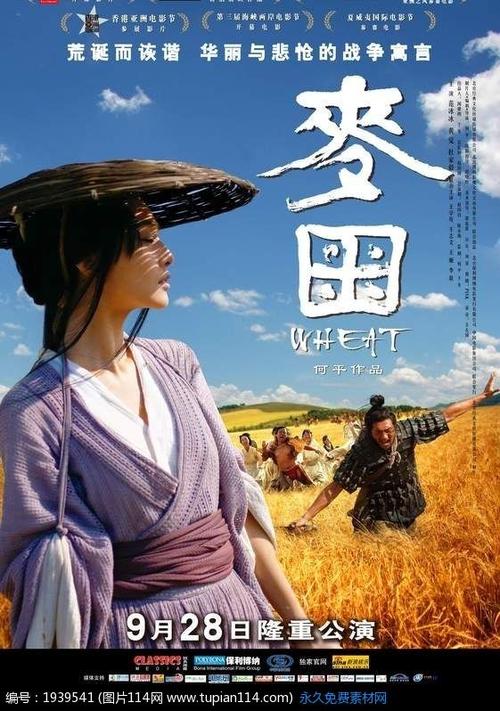 卡拉布里亚大学建筑学文凭证书